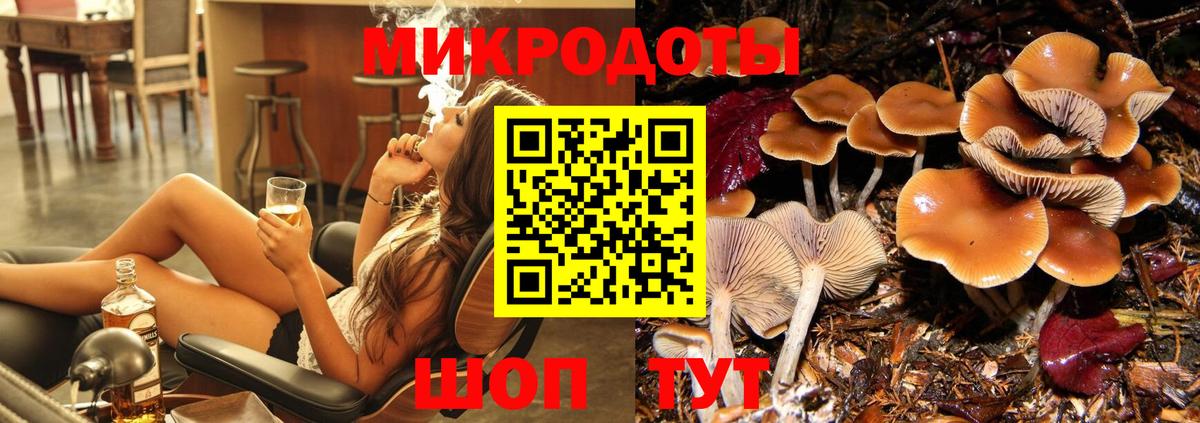 Галлюциногенные грибы Psilocybe  Псилоцибиновые грибы мицелий  где можно купить   Вход с VPN  Советская Гавань 